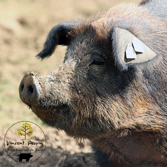 viande de porc fermier BIO